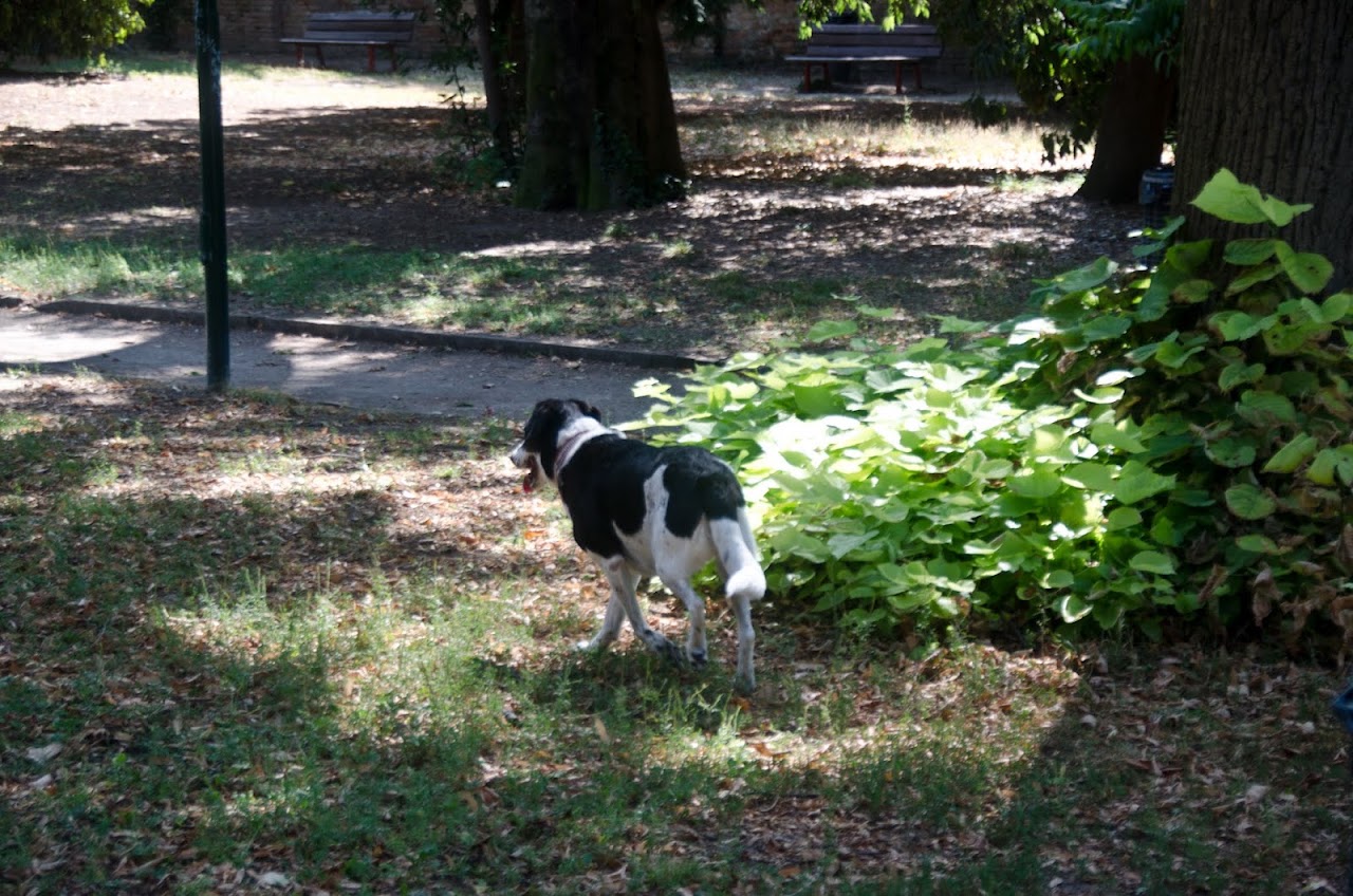 Abby in a Venice park