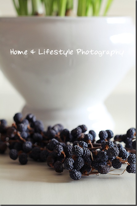 Home & Lifestyle Home & Lifestyle