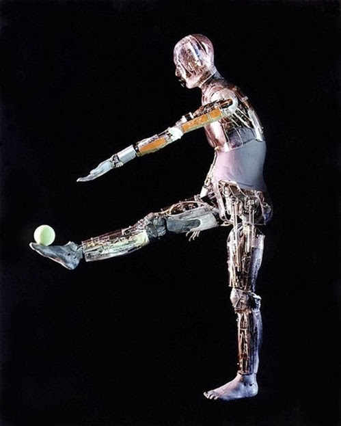 anthropomorphic-robot-capable-everett
