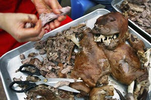 Carne di cane arrosto venduta in Sud Corea Carne di cane arrosto venduta in Sud Corea