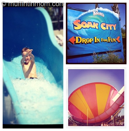 knotts soak city knotts soak city