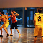 DSC_8224a.jpg
