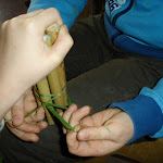 DSC00318.JPG