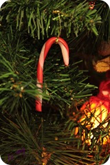 IMG_5553 IMG_5553