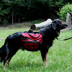 pacco_satteltaschen.jpg
