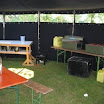 _3_20070617_1427576969.jpg