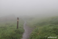 IMG_9357.JPG Photo
