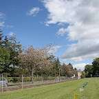 110514 PH 10K 2011 ~ 013.JPG