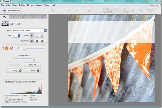 Picasa Text Overlay Picasa Text Overlay