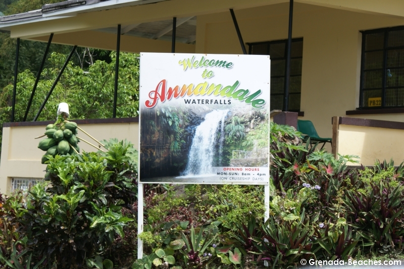 Annandale Waterfalls Pictures Grenada Beaches