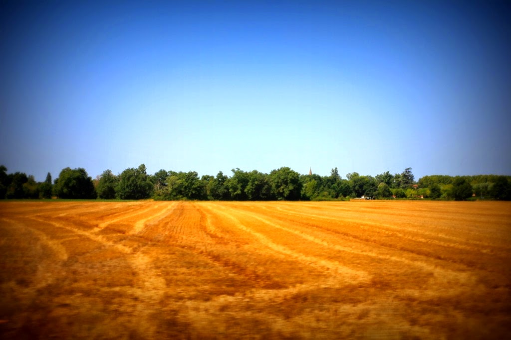[IMG_0942%255B3%255D.jpg]