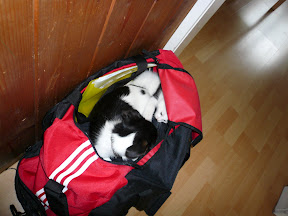 P1000142.JPG