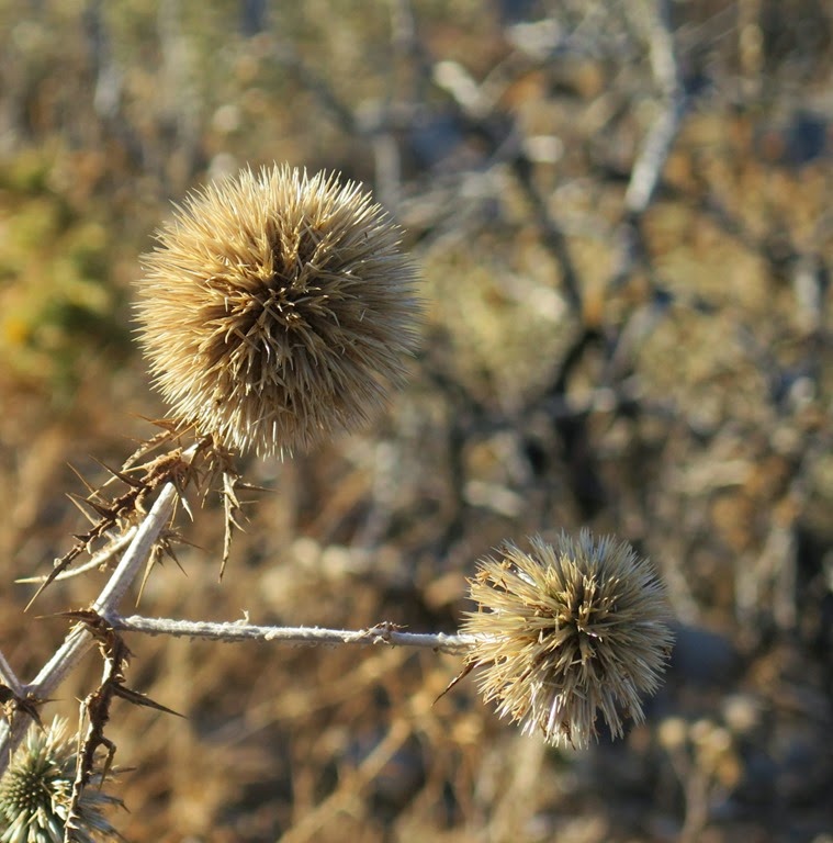 [IMG_0424b%255B7%255D.jpg]