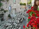 Transhumance à Montpeyroux