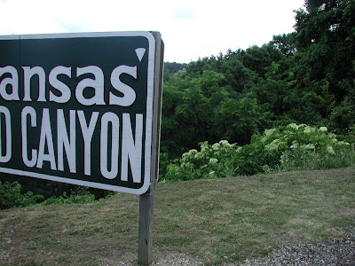a large elderberry bush near the sign for the "Arkansas Grand Canyon"