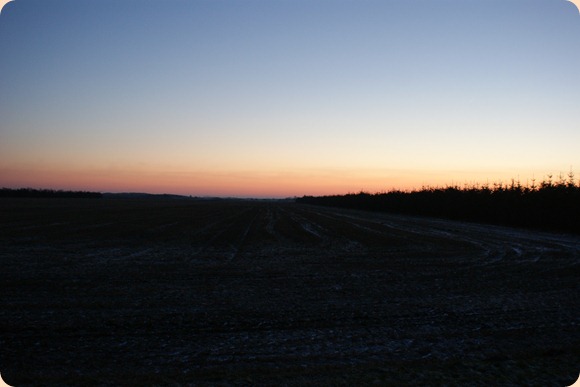 DSC05078
