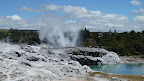 Prince of Wales' Feathers und Pohutu Geysire, Whakarewarewa Thermal Village, Rotorua.