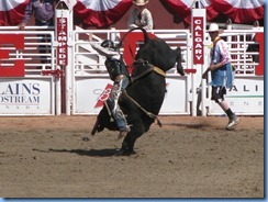 9490 Alberta Calgary - Calgary Stampede 100th Anniversary - Stampede Grandstand - Calgary Stampede Bull Riding Championship