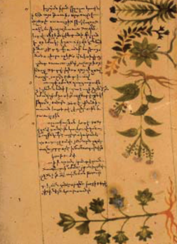 Obscure Medieval Armenian Pharmacopoeias