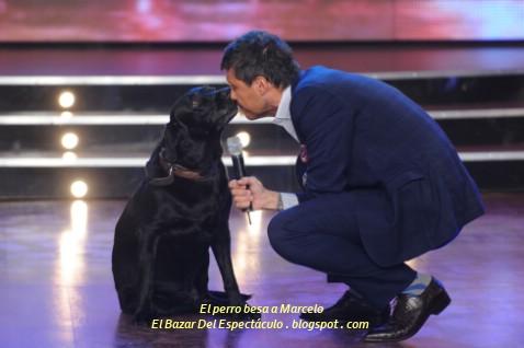 El perro besa a Marcelo.JPG