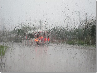 IMG_0735 IMG_0735