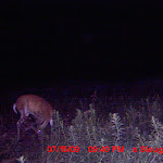 MDGC0265.JPG