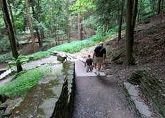 ZDown the Stone Steps to Lower Falls