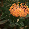 IMG_9726N2.JPG