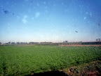 P1150520.JPG