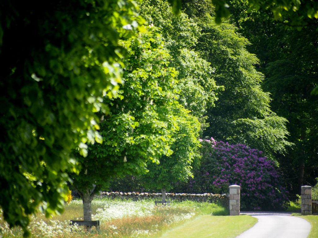 [17%2520June%252011%252017-06-2013%252010-36-55%255B3%255D.jpg]