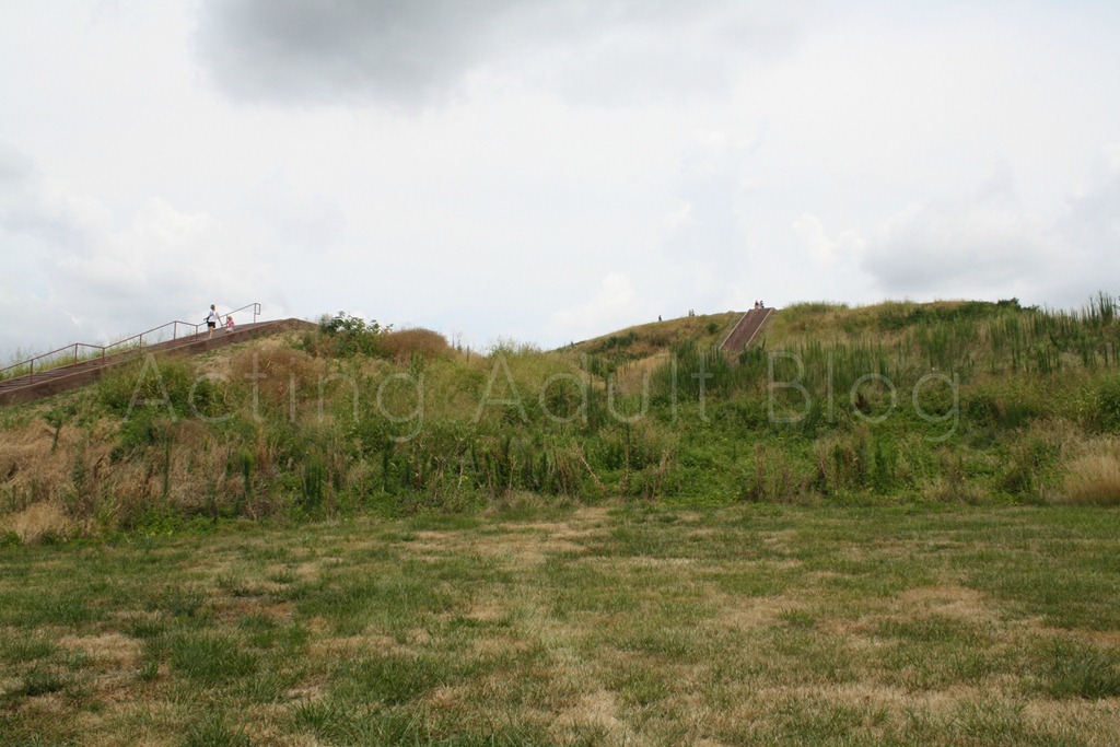 [Cahokia%2520Mounds%25209%255B4%255D.jpg]