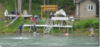 IMG_5678 IMG_5678