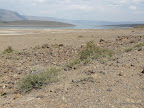 Bogoriasee