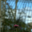DSC_5635.jpg