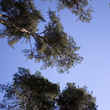 _MG_2551.jpg