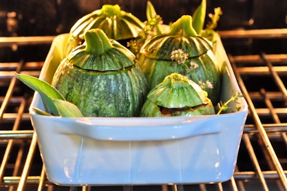 [globe_zucchini_11%255B4%255D.jpg]
