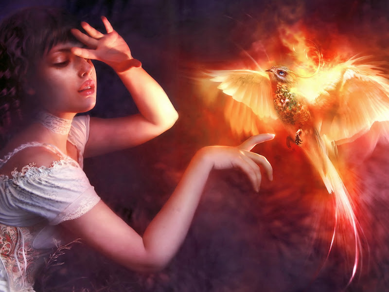 Magic Phoenix And Beauty, Mystery