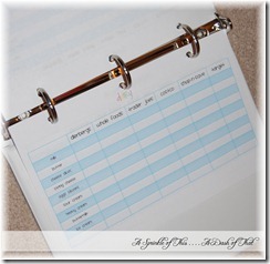 grocery shopping price comparison binder {A Sprinkle of This . . . . A Dash of That}