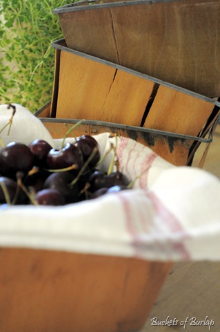 [cherries%2520in%2520basket%255B1%255D.jpg]