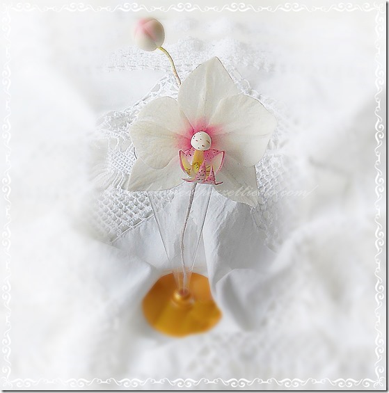 orchidea orchidea