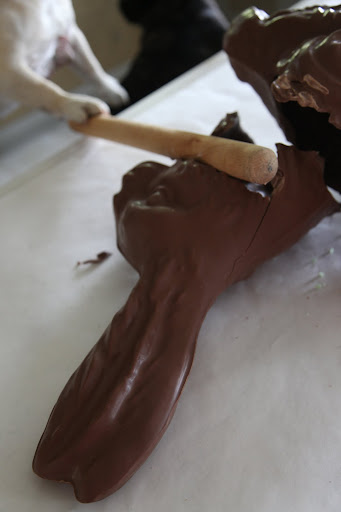 This chocolate bunny's new life is just beginning.