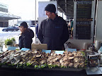 Fresh oysters