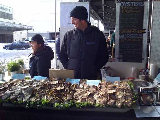 Fresh oysters