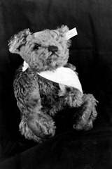 Split-Toned-Prints---Bears-1-A