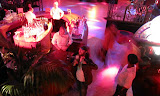 Bacardi Visita #4