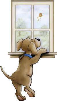 [Dog_in_Window_9-26-07%255B2%255D.gif]