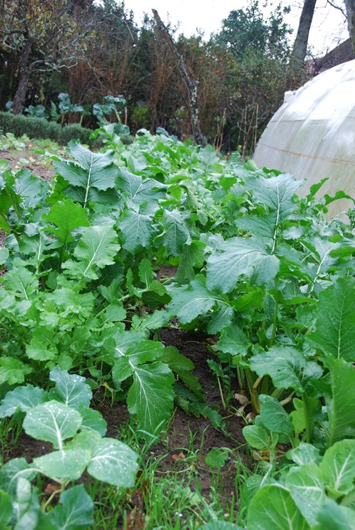 [DSC_00511%255B2%255D.jpg]