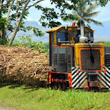 The Cane Train Headed To The Sugar Mill - Port Denarau, Fiji