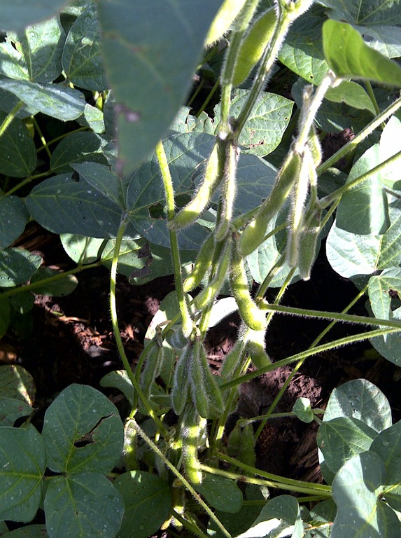 [IMG-20110825-00011%255B5%255D.jpg]