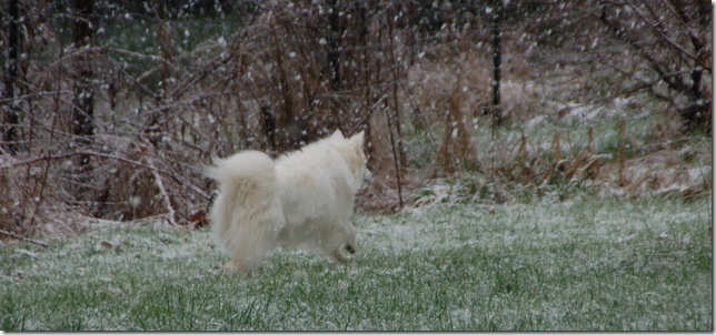 DSC_5501 DSC_5501